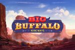 Big Buffalo