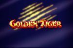 Golden Tiger