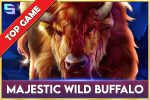 Majestic Wild Buffalo