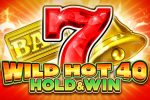 Wild Hot 40 Hold & Win