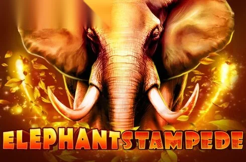Elephant Stampede