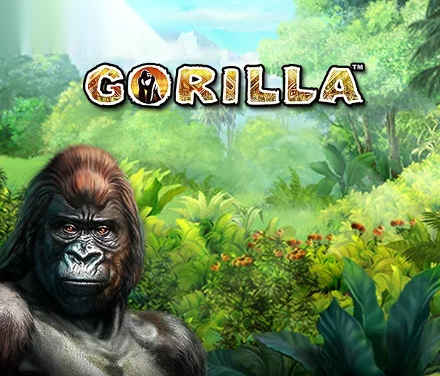 Gorilla