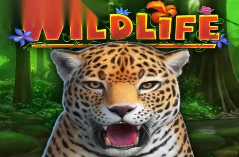 Wildlife